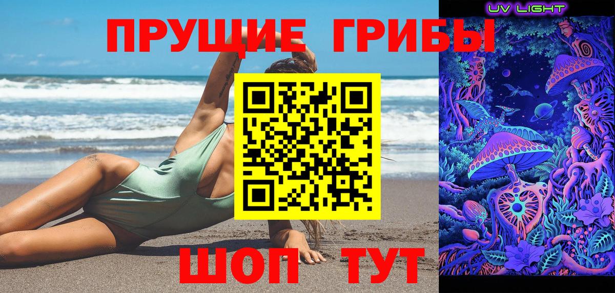 Псилоцибиновые грибы Cubensis  Псилоцибиновые грибы прущие грибы  Коммунар  Вход с VPN 